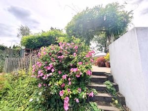 Photo 24- click for photo gallery